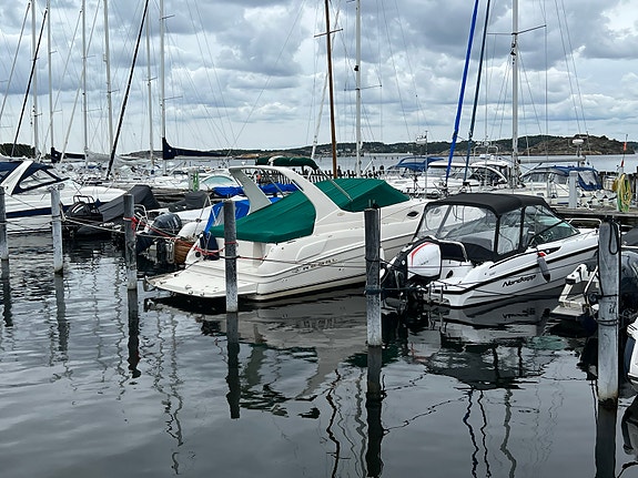 Regal Commodore 2960, Volvo Penta AD41P Diesel 11 of 15
