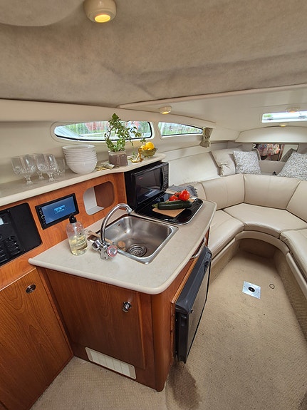 Bayliner 245 -05 | MerCruiser 5.7 V8 250 hk | Bravo III | Garmin | 30-kärra 9 of 10