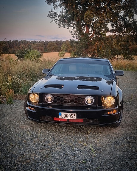 Ford Mustang 4 of 7