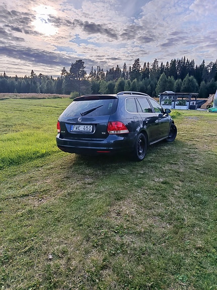 Volkswagen Golf V 7 of 8