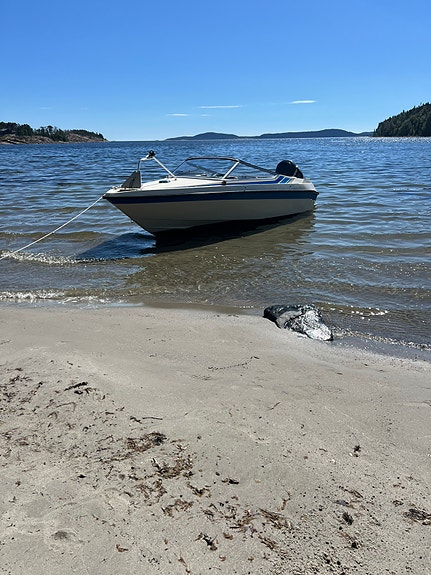 +57 knop Flipper flash med Evinrude 225hk 5 of 6