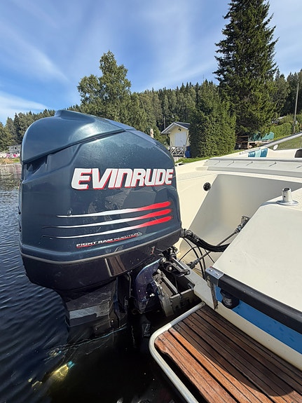 +57 knop Flipper flash med Evinrude 225hk 4 of 6