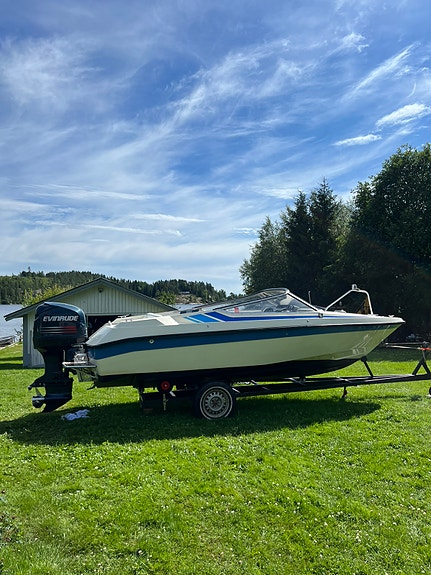 +57 knop Flipper flash med Evinrude 225hk 6 of 6