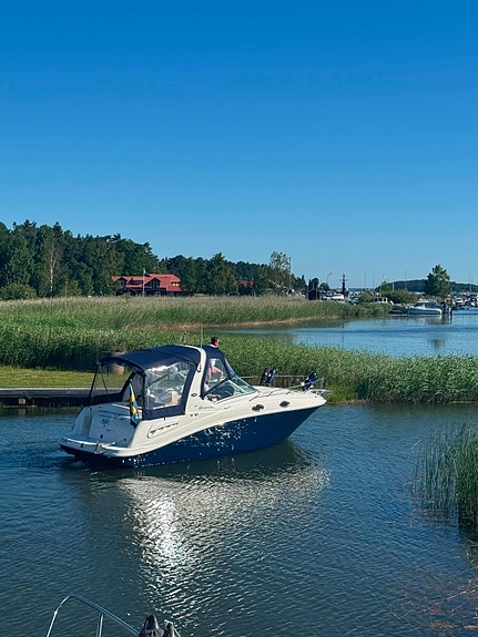 Sea Ray Sundancer 260/275 2 of 22