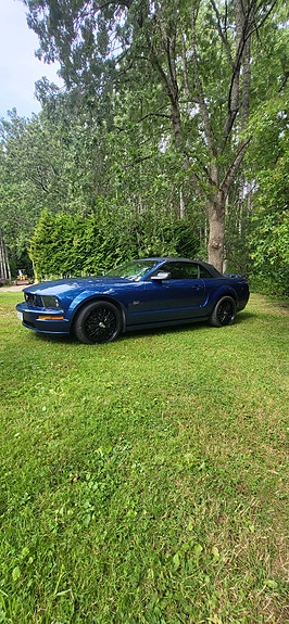 Ford Mustang 5 of 5