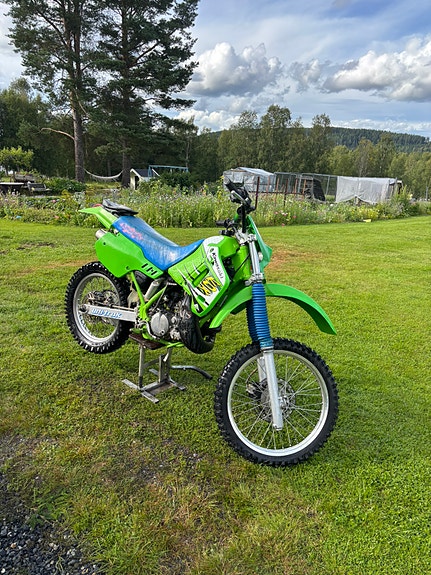 Kawasaki Kdx200 2 of 4