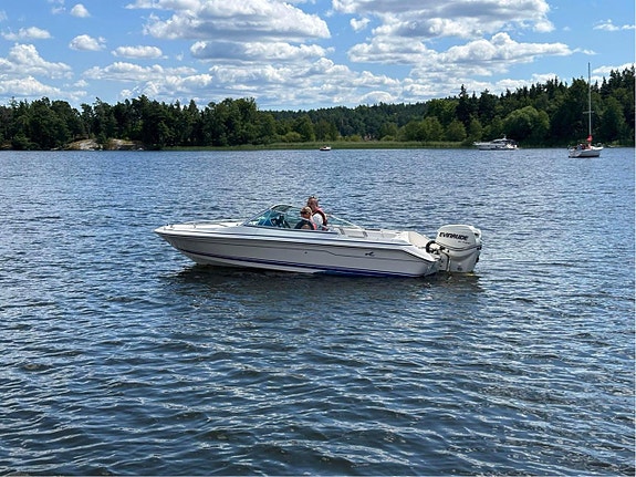 Sea Ray 16 - Evinrude 115 E-tec -11. 6 of 7