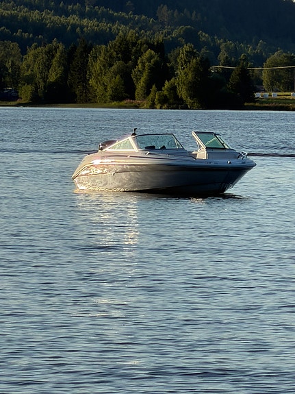 Sea ray 180 115hk fyrtaktare 2 of 5