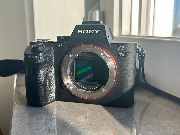 Sony Alpha A7 II – Endast 4 730 exponeringar image 4