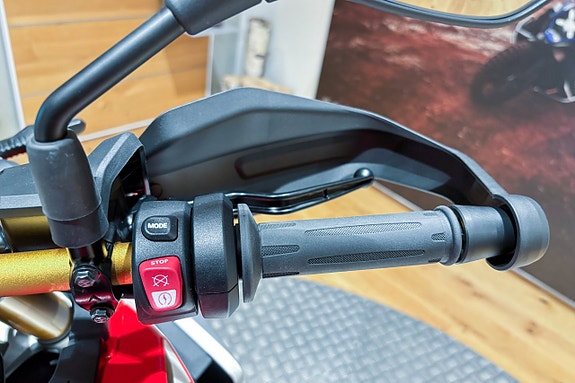 BMW F 450 GS |Style Sport|Omgående leverans|Driving modes Pro| 9 of 9