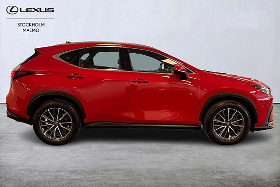 Lexus NX350h 16 of 22