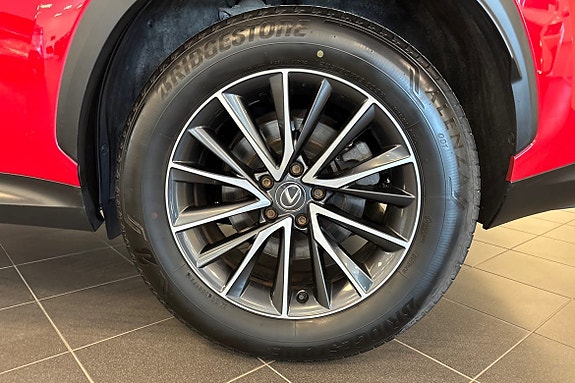 Lexus NX350h 15 of 22