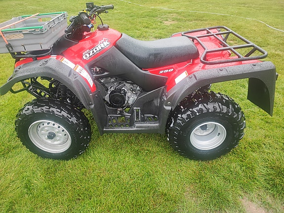 Suzuki Ozark 250 3 of 5