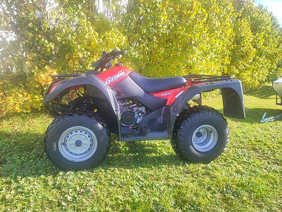 Suzuki Ozark 250 2 of 3