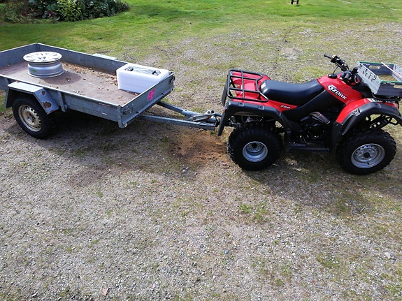 Suzuki Ozark 250 5 of 5
