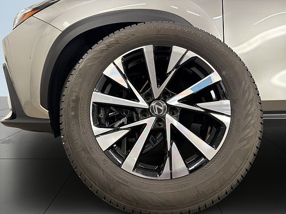 Lexus NX350h 14 of 19