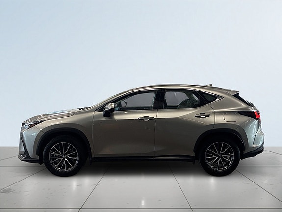 Lexus NX350h 4 of 19