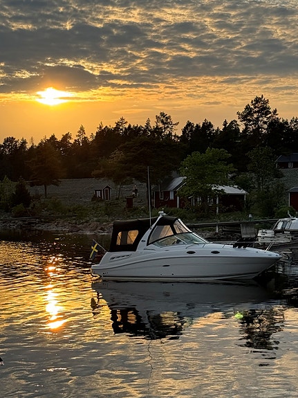 Sea Ray Sundancer 260/275 13 of 13