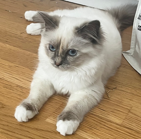 Product image 2 of 4