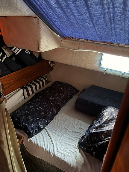 Superfin Draco, utbytt motor/drev, nytt kapell 11 of 15