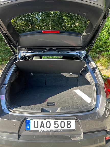 Lexus UX250h 12 of 12