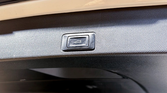 Cupra Terramar 14 of 21