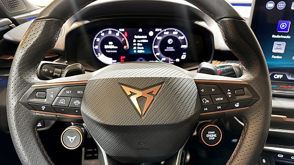 Cupra Terramar 18 of 21