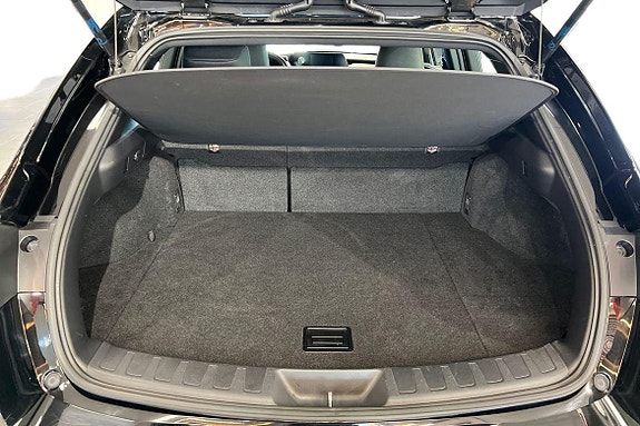 Lexus UX250h 12 of 21
