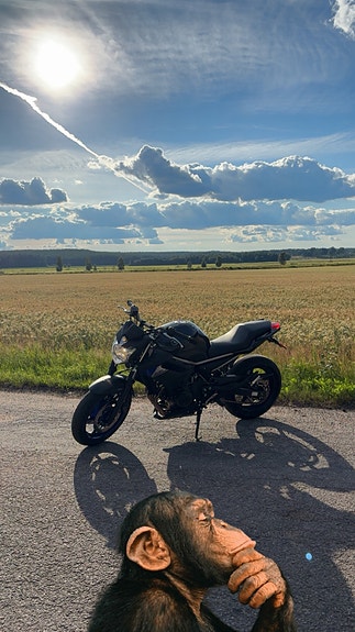 Yamaha XJ6 N 4 of 6