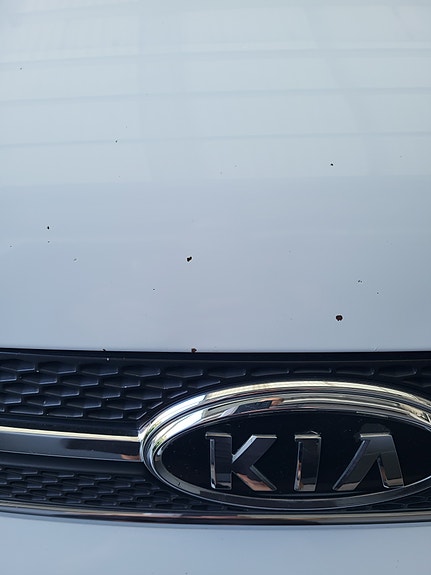 Kia Sportage 18 of 18