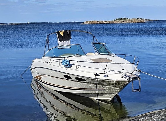 Sea Ray 260 OV 10 of 11