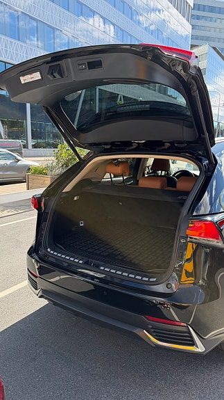 Lexus NX300h 11 of 13