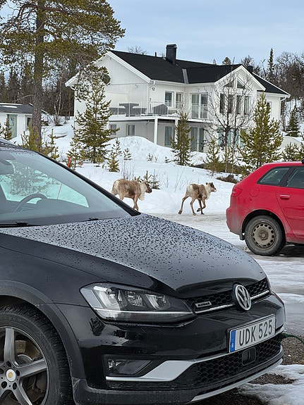 Volkswagen Golf Alltrack 3 of 7
