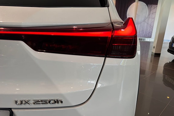 Lexus UX250h 21 of 30