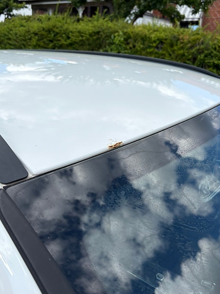 Volvo V60 16 of 16