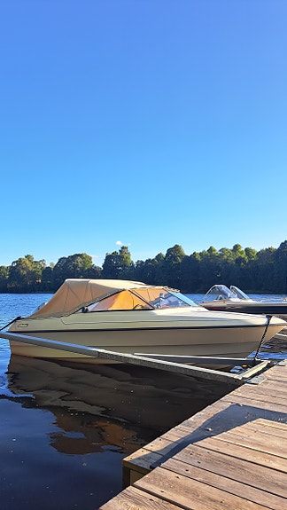 Motorbåt inkl. trailer, Honda 50hk 4-takt 5 of 5