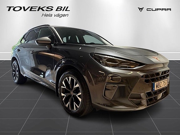 Cupra Terramar 5 of 18
