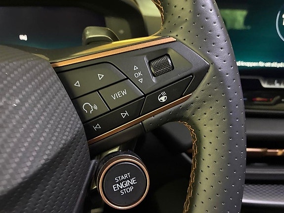 Cupra Terramar 16 of 18