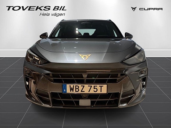 Cupra Terramar 6 of 18
