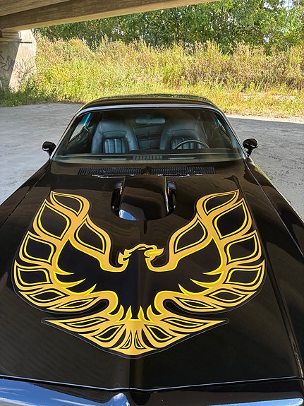 Pontiac Firebird 7 of 14