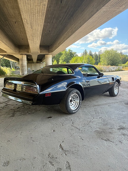 Pontiac Firebird 3 of 14