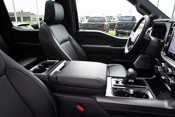 Ford F-150 23 of 24
