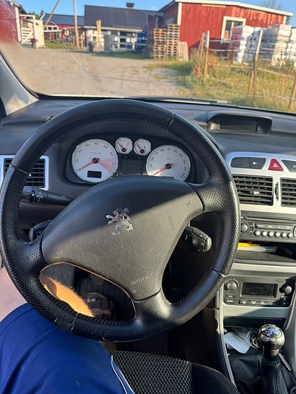 Peugeot 307 6 of 6