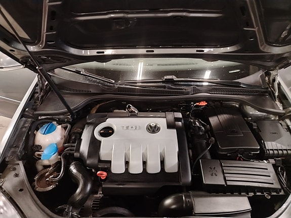 Volkswagen Golf V 7 of 7