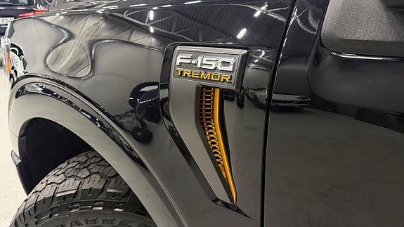 Ford F-150 28 of 30