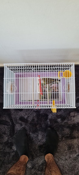 Product image 4 of 8