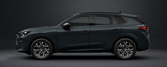 Cupra Terramar 2 of 3