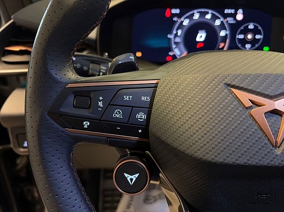 Cupra Terramar 18 of 23