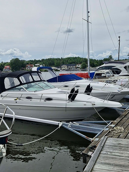 Sea Ray 250 -98 v8 2 of 16