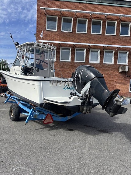 HÖSTKLIPPET! BAYLINER TROPHY 2509 WALKAROUND 9 of 10